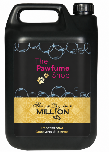 shes a dog 5 litre shampoo pic
